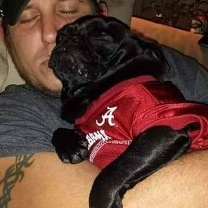 Meet your Posher, Shawn